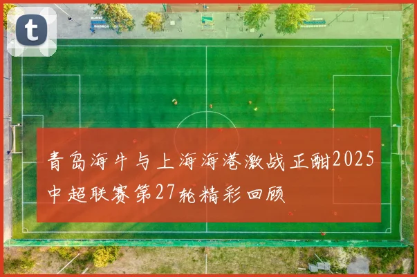 青岛海牛与上海海港激战正酣2025中超联赛第27轮精彩回顾